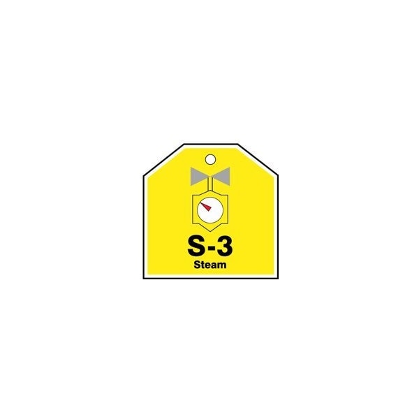 Accuform Energy Source ID Tag, S-3 STEAM, 2.5in x 2.5in, Plastic, 5PK TDJ103VPM - main